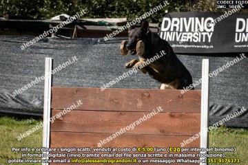 IMG_5078.jpg