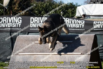 IMG_5084.jpg