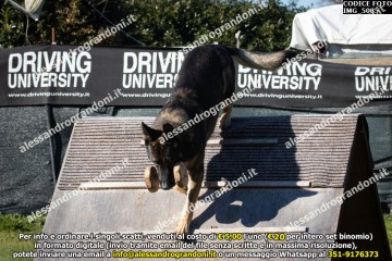 IMG_5085.jpg