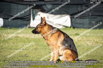 IMG_5099.jpg