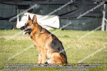 IMG_5100.jpg