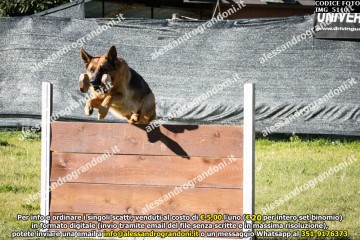 IMG_5110.jpg