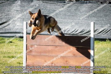 IMG_5111.jpg