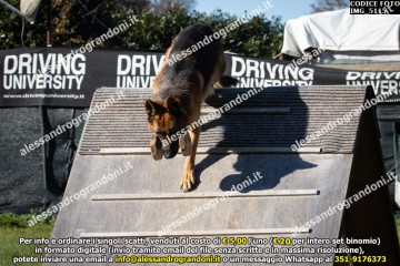 IMG_5115.jpg