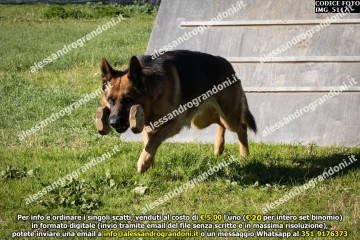IMG_5117.jpg