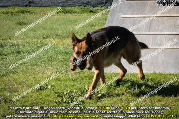IMG_5118.jpg