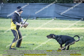 IMG_5132.jpg