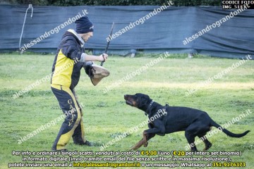 IMG_5133.jpg