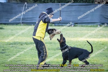IMG_5134.jpg