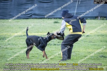 IMG_5140.jpg