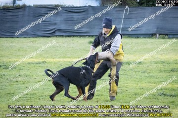 IMG_5141.jpg
