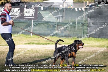 IMG_5149.jpg