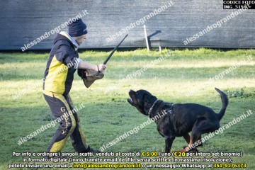 IMG_5156.jpg