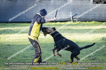 IMG_5157.jpg
