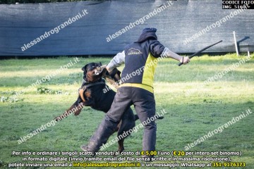 IMG_5160.jpg