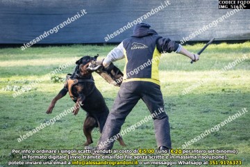 IMG_5161.jpg