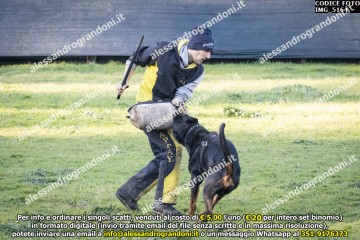 IMG_5164.jpg