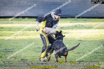 IMG_5165.jpg