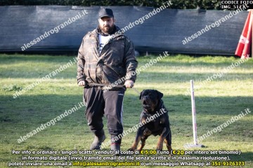 IMG_5173.jpg