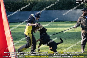 IMG_5175.jpg