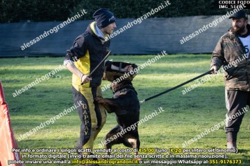 IMG_5178.jpg