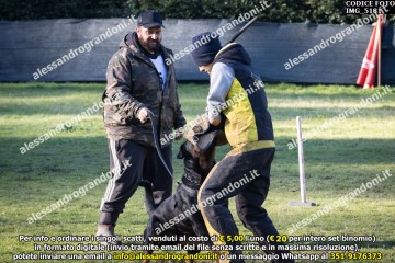 IMG_5181.jpg