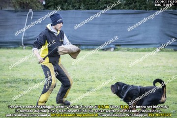 IMG_5184.jpg