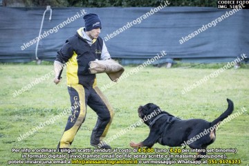 IMG_5185.jpg