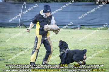 IMG_5186.jpg
