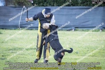 IMG_5188.jpg