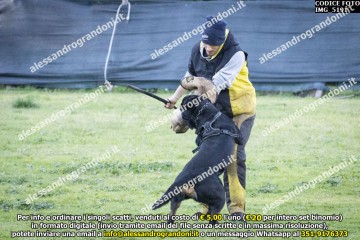 IMG_5191.jpg