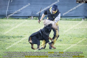 IMG_5193.jpg
