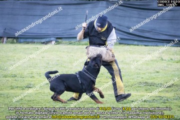 IMG_5195.jpg
