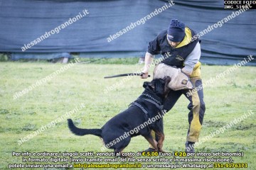 IMG_5198.jpg