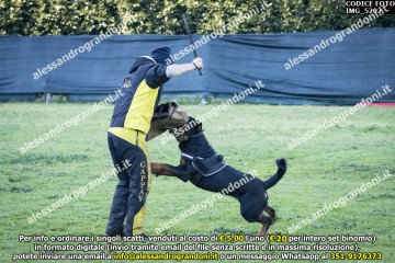 IMG_5202.jpg