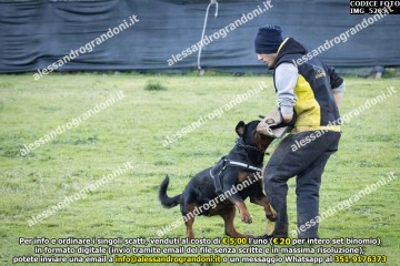 IMG_5205.jpg
