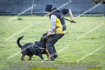 IMG_5207.jpg
