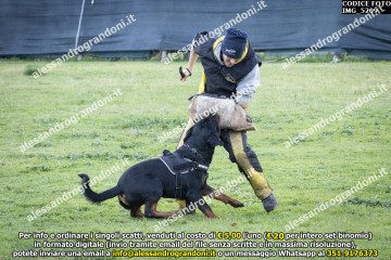 IMG_5209.jpg