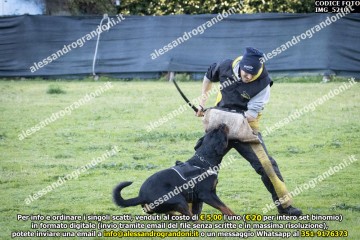 IMG_5210.jpg
