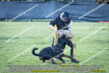 IMG_5211.jpg