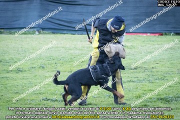 IMG_5212.jpg