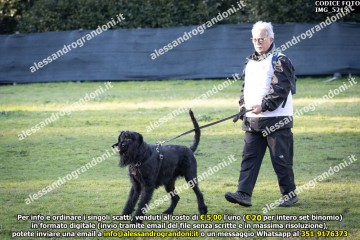 IMG_5215.jpg