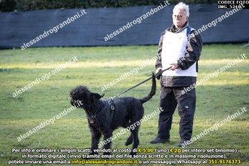 IMG_5216.jpg