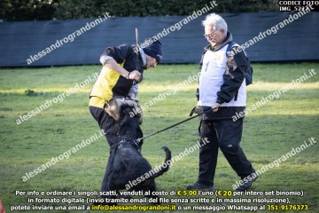 IMG_5222.jpg