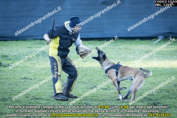 IMG_5235.jpg