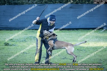 IMG_5236.jpg