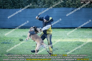 IMG_5238.jpg