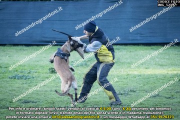 IMG_5239.jpg
