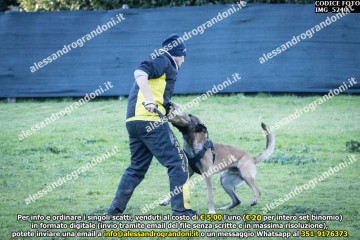 IMG_5240.jpg