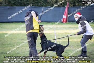 IMG_5254.jpg